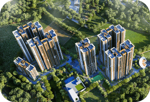 Aerial Community View
